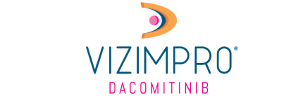 Vizimpro